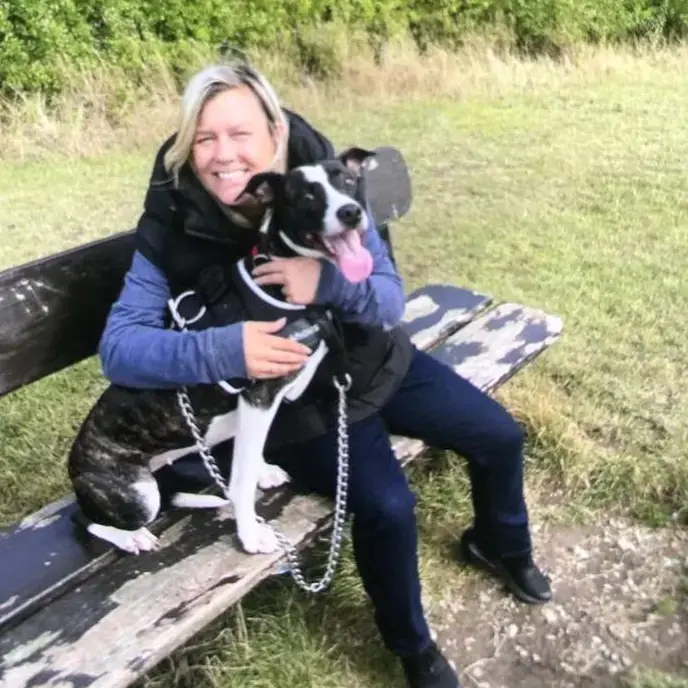 Staffordshire Bull Terrier