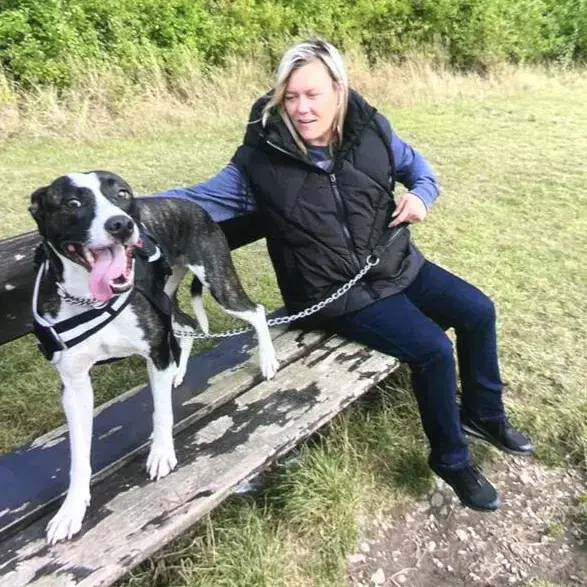 Staffordshire Bull Terrier