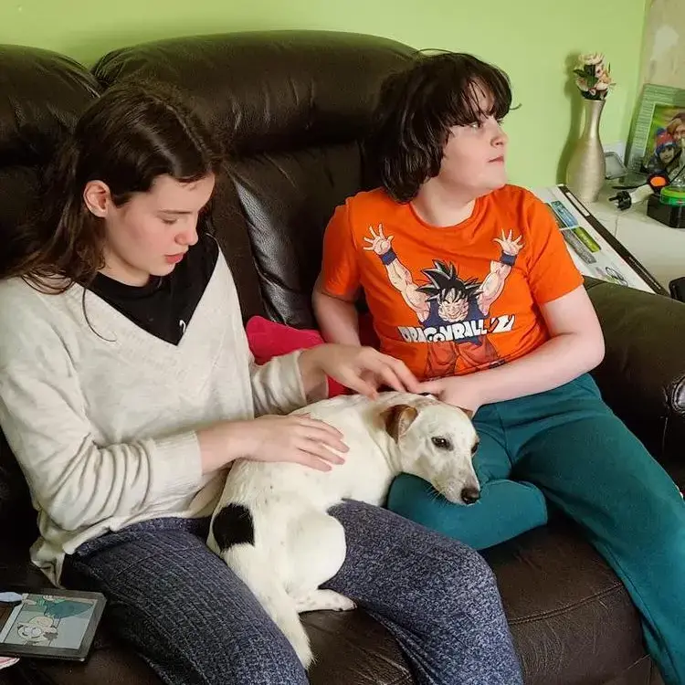 Jack Russell Terrier