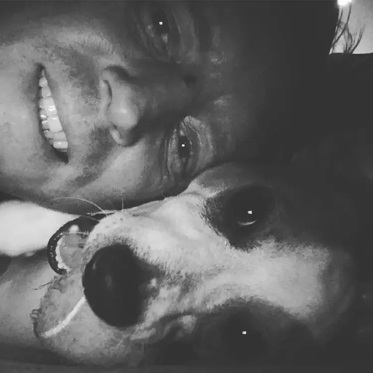 Jack Russell Terrier