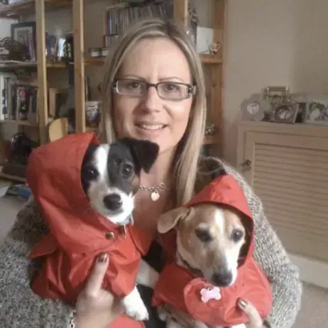 Jack Russell Terrier