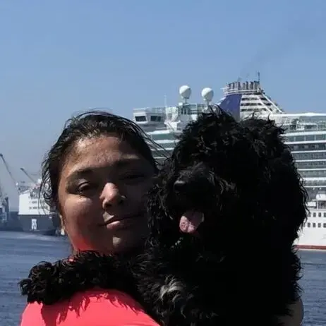 Cocker Spaniel (English)