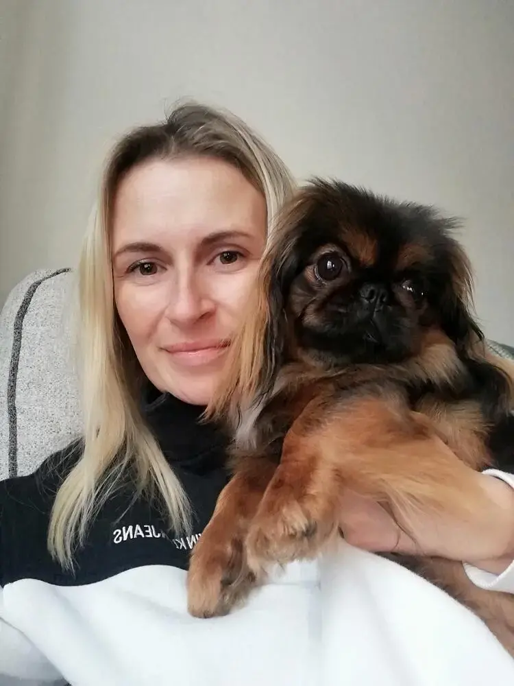 Pekingese