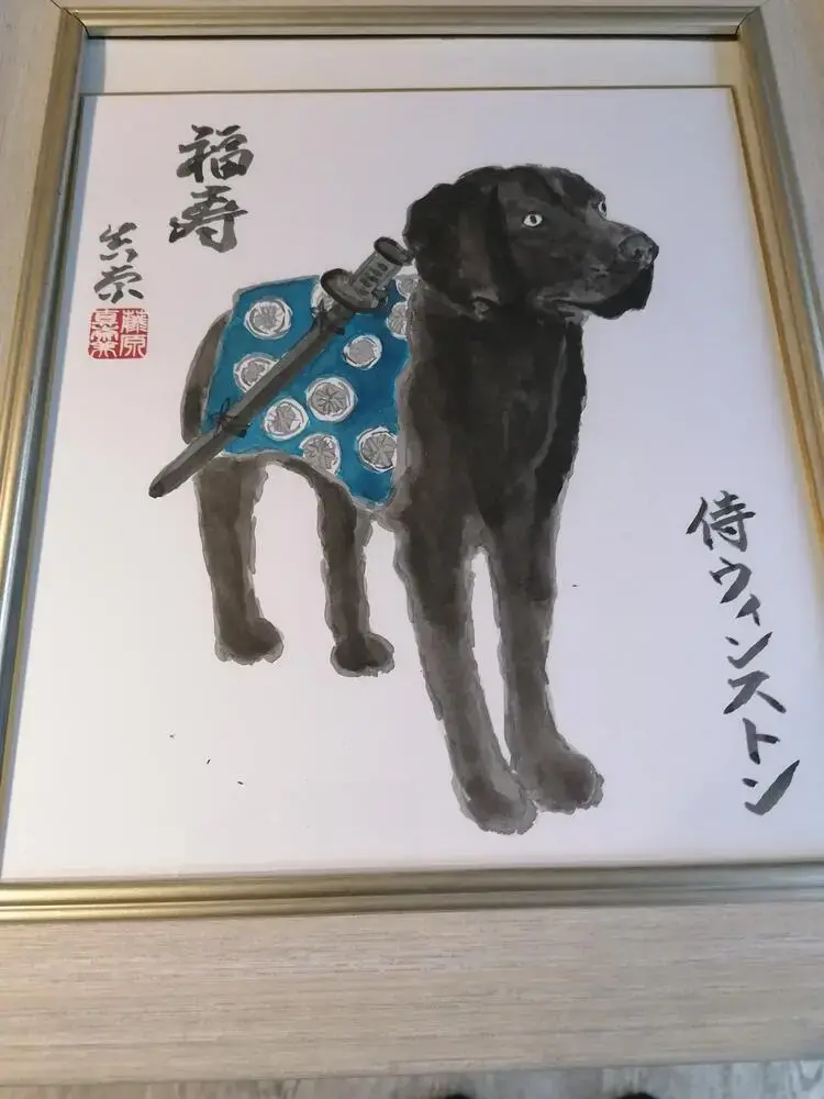 Labrador Retriever
