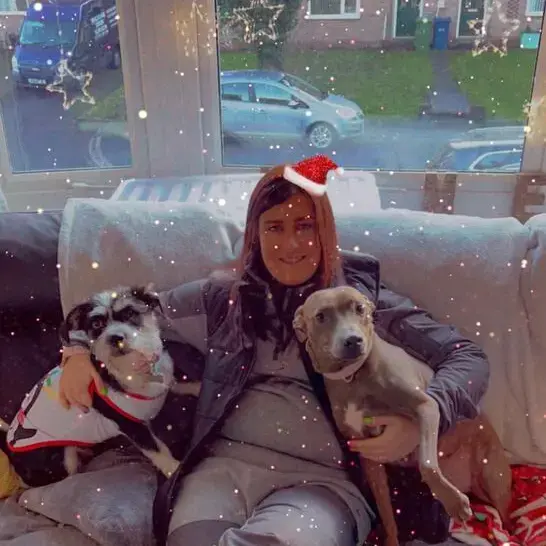 Staffordshire Bull Terrier