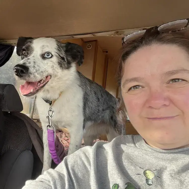 Border Collie
