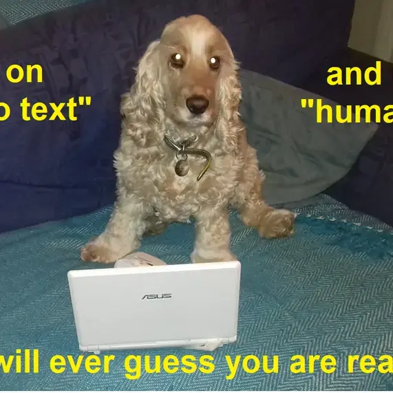 Cocker Spaniel (English)
