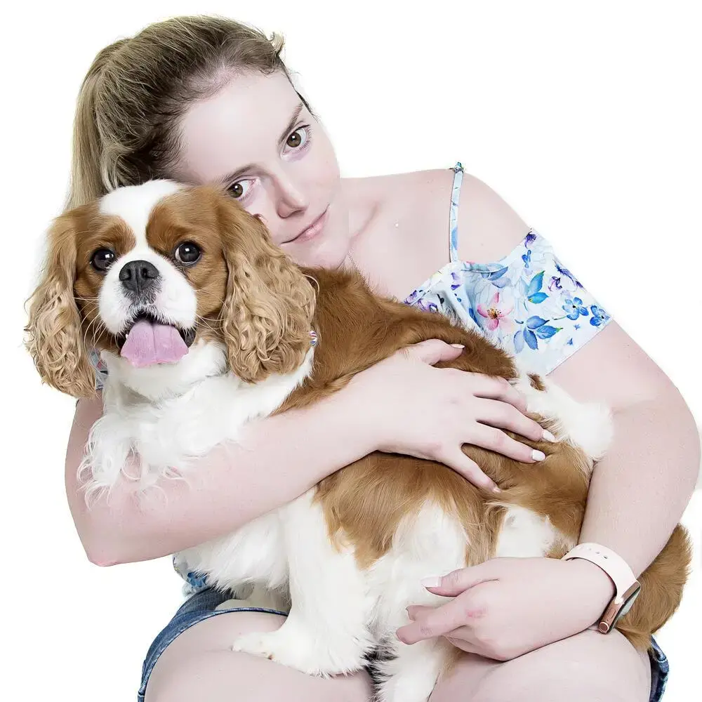 King Charles Spaniel