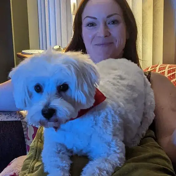 West Highland White Terrier