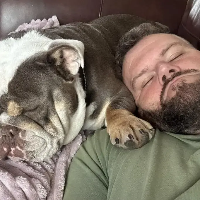Bulldog
