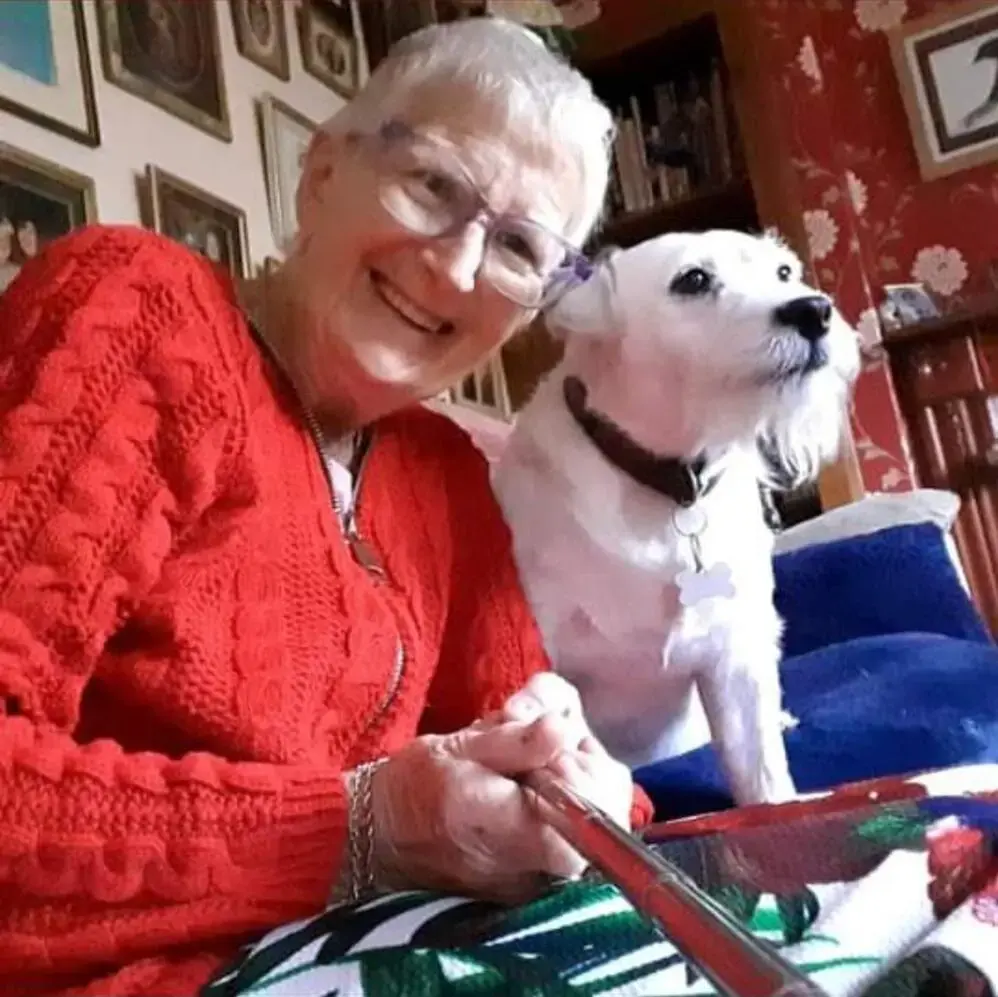 Jack Russell Terrier