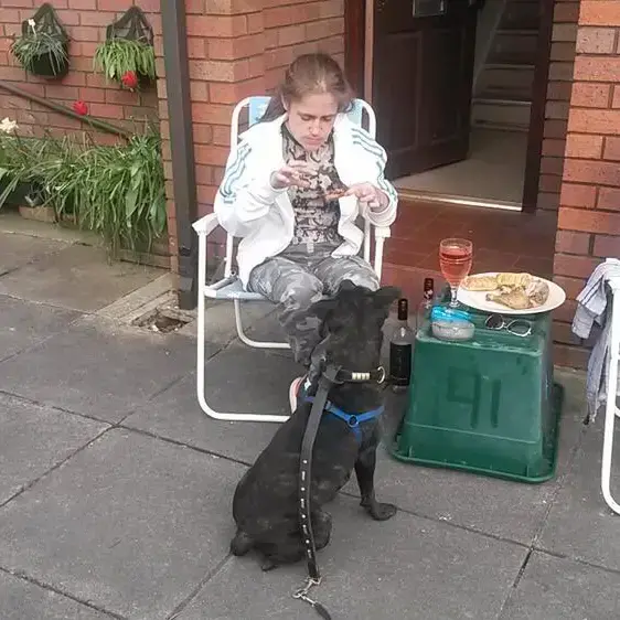 Staffordshire Bull Terrier