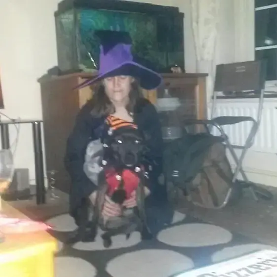 Staffordshire Bull Terrier