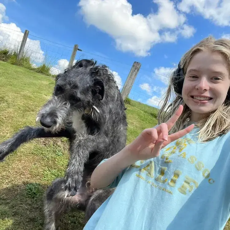Deerhound