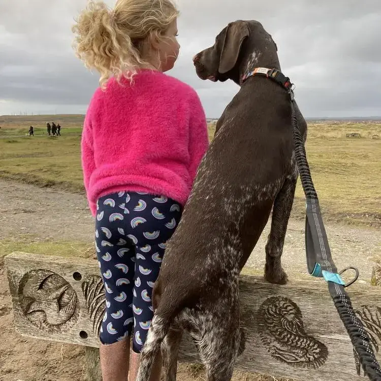 German Short-Haired Pointer