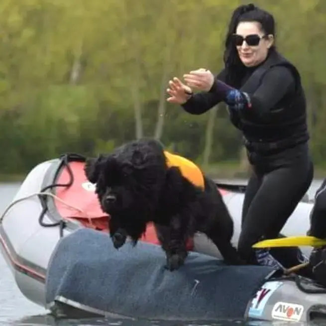Newfoundland