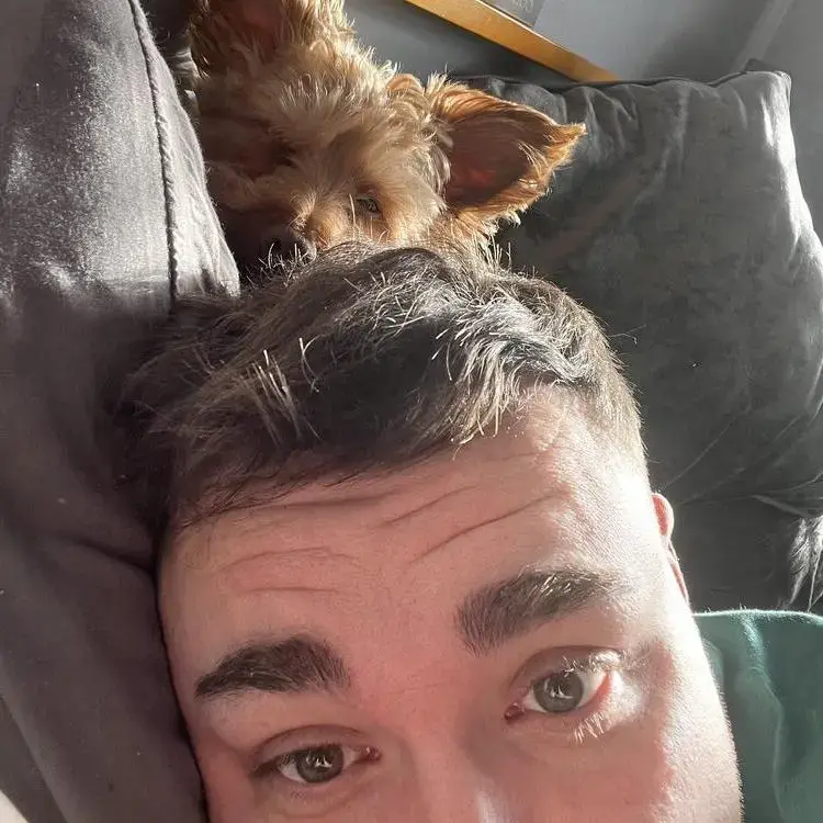 Yorkie Poo (Yorkipoo)