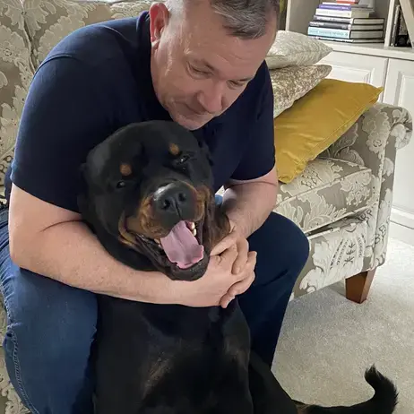 Rottweiler