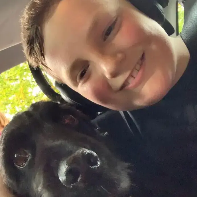 Cocker Spaniel (English)