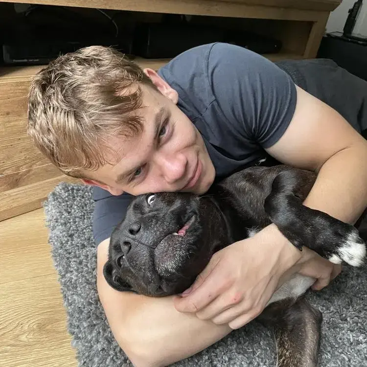 Staffordshire Bull Terrier