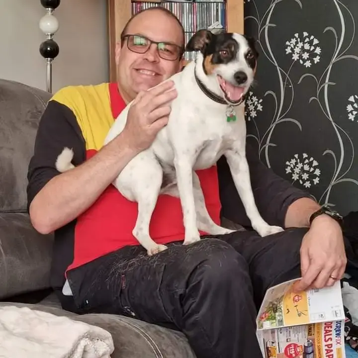 Parson Russell Terrier