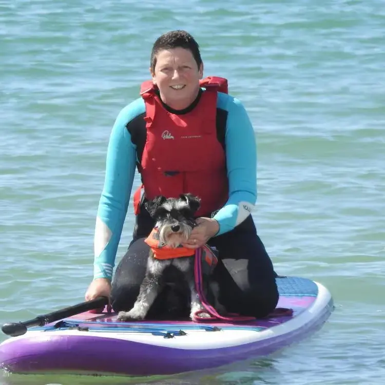 Schnauzer (Miniature)