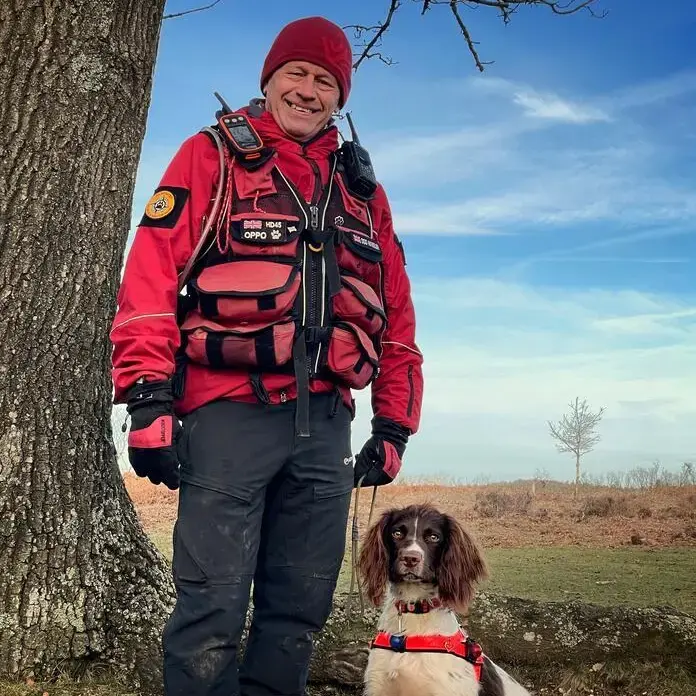 English Springer Spaniel
