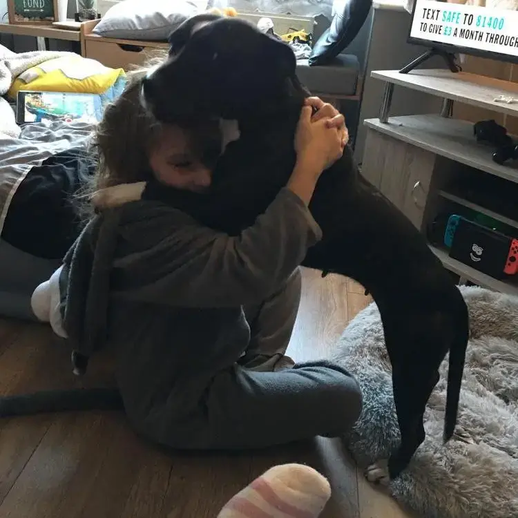 Staffordshire Bull Terrier