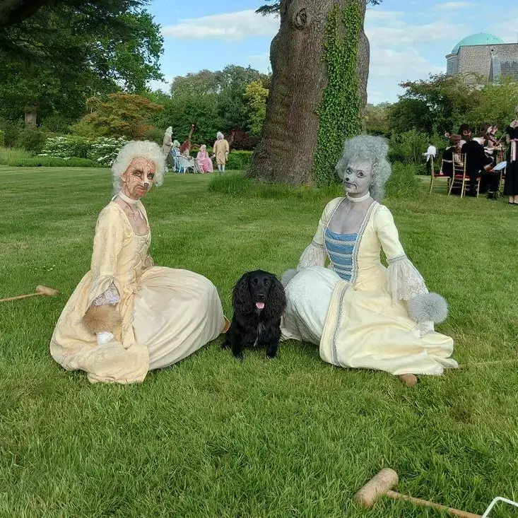 Cocker Spaniel (English)