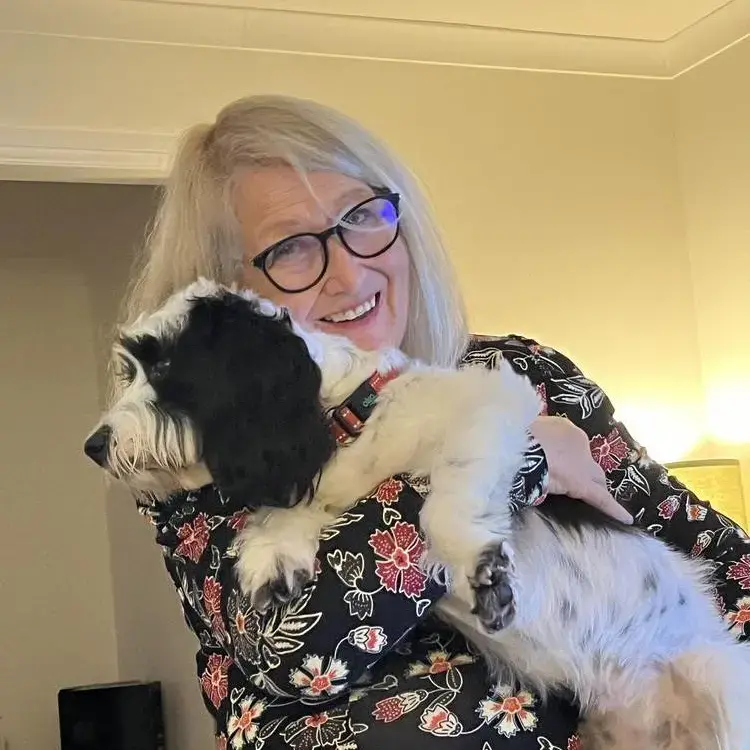 Cocker Spaniel (English)