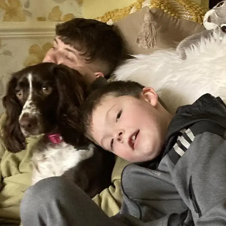 Cocker Spaniel (English)