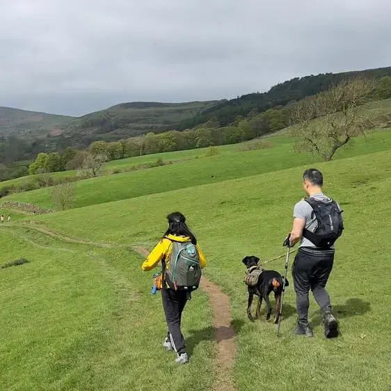 Dobermann
