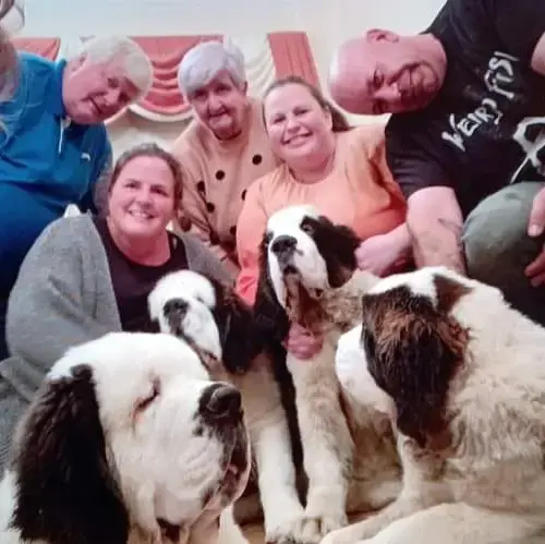 St. Bernard