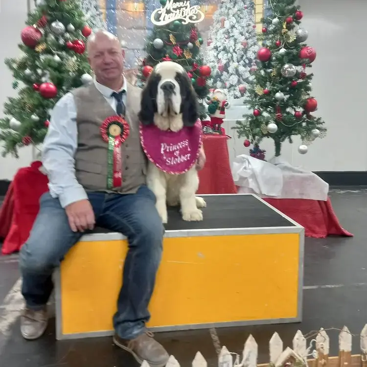 St. Bernard