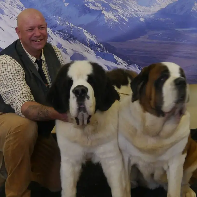 St. Bernard