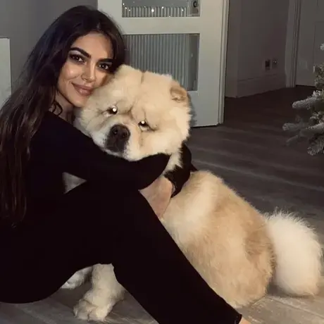 Chow Chow