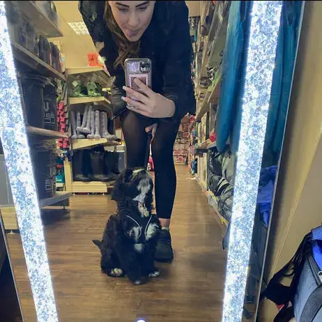 Cockapoo