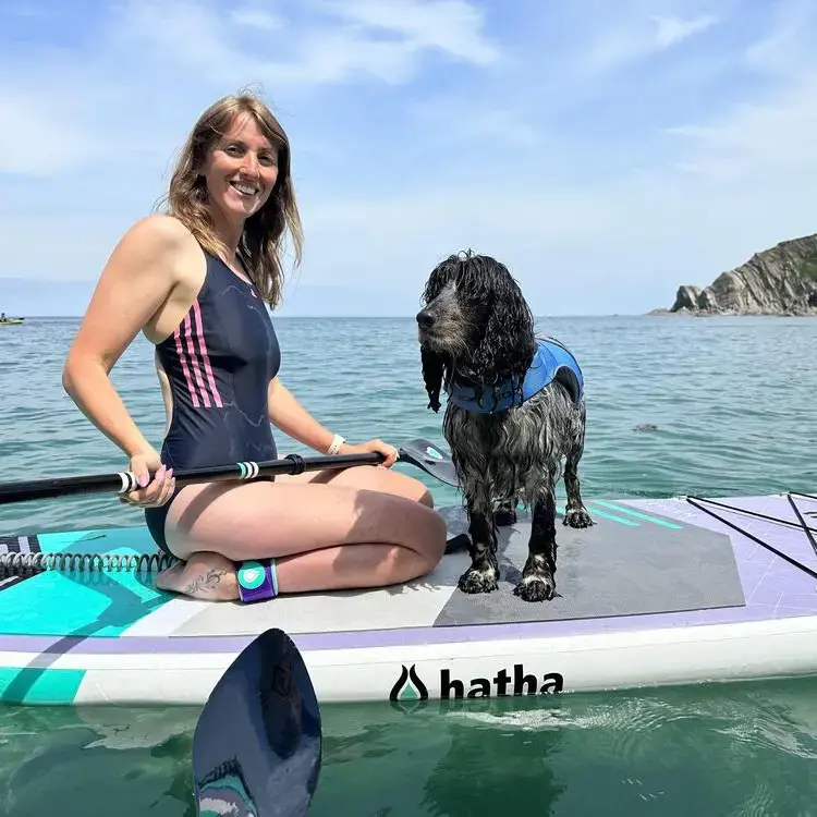 Cocker Spaniel (English)