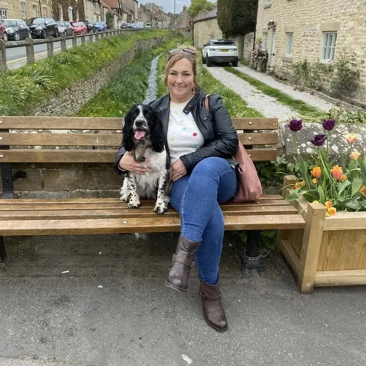 Cocker Spaniel (English)