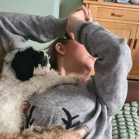 Cocker Spaniel (English)