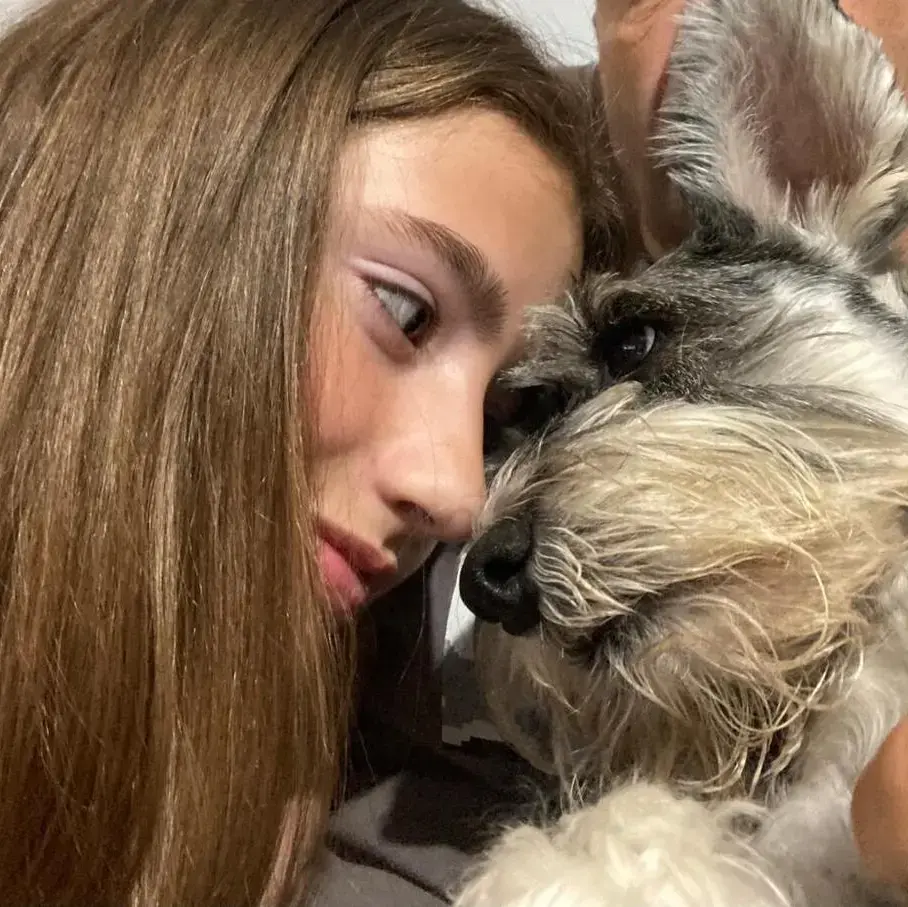 Schnauzer (Miniature)