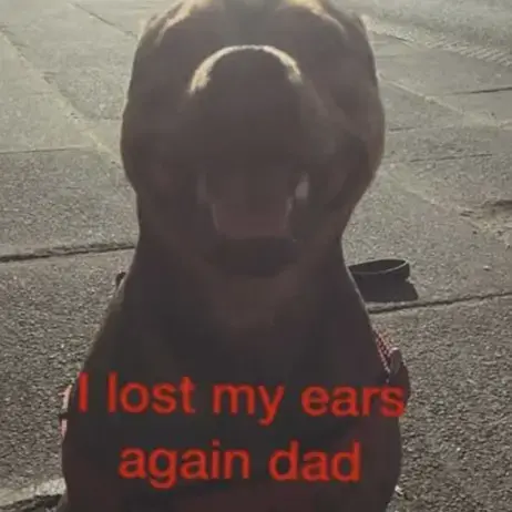 Staffordshire Bull Terrier