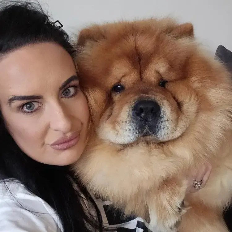 Chow Chow