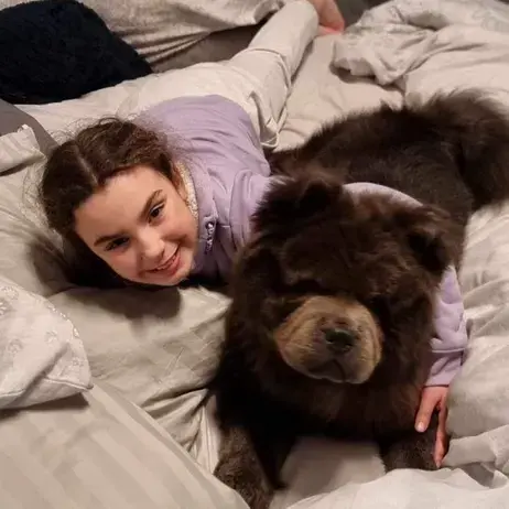 Chow Chow