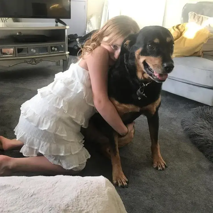 Rottweiler