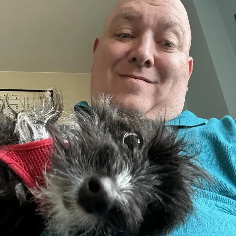 Poodle (Miniature)