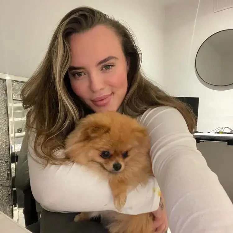 Pomeranian