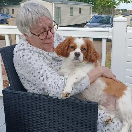King Charles Spaniel