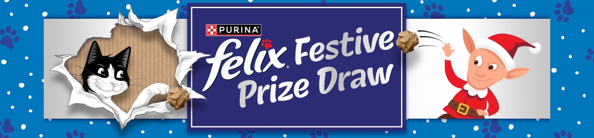 Felix Festive Prize Draw
