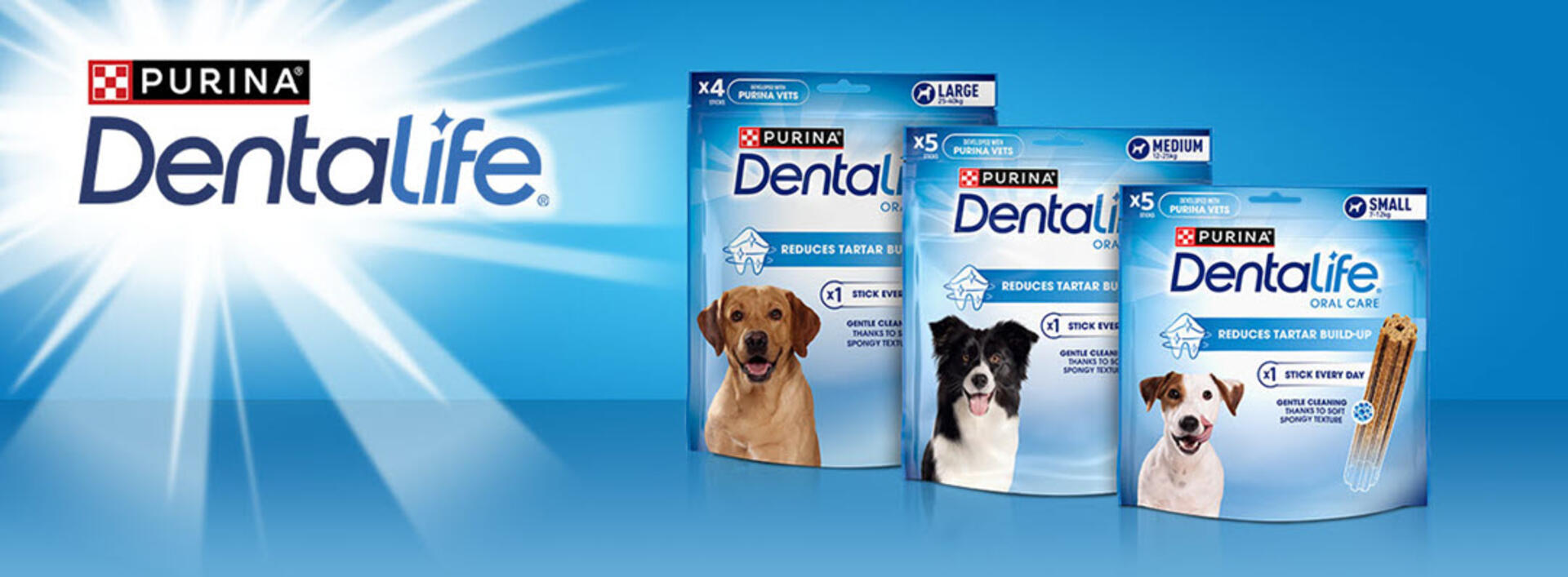 Dentalife core product range packs